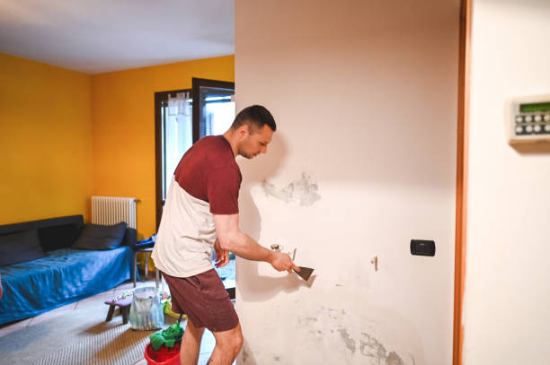 Best Mold Testing and Inspection Services in Pebble Creek, FL